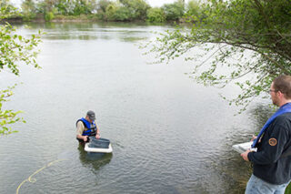 Chinook Salmon Release in the Georgiana Slough, California - Pixel CA DWR