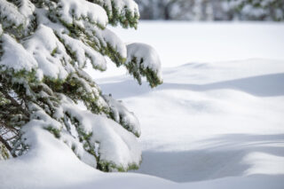 photo - Deep Snow in the Sierra Nevada Mountains of California