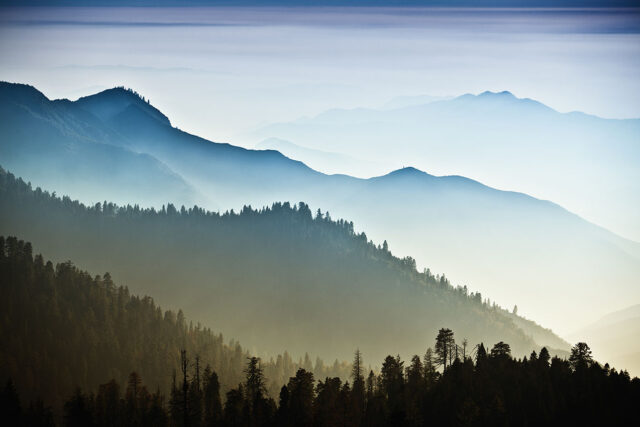 photo - Mist on Headwater Forest