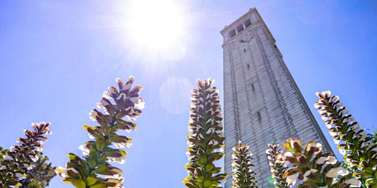 photo - Higher Education Building Tower with Flowers