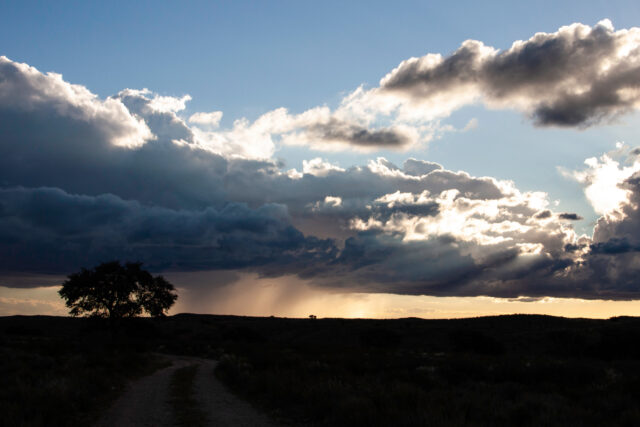 photo - Storm on the Horizon