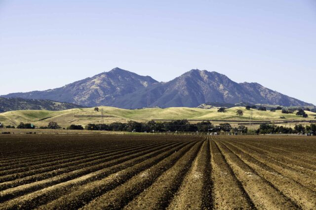 photo - Plowed Fields with Mt. Diablo in Background