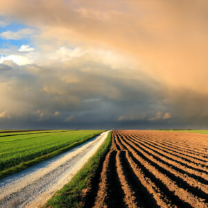 photo - Plowed Fields and Rainbow