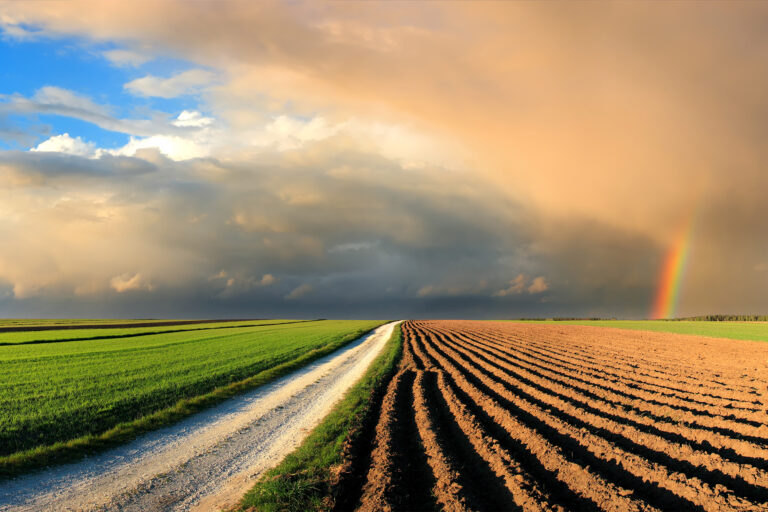 photo - Plowed Fields and Rainbow