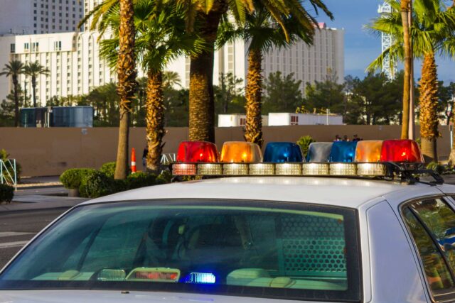 photo - Police Car and Palm Trees