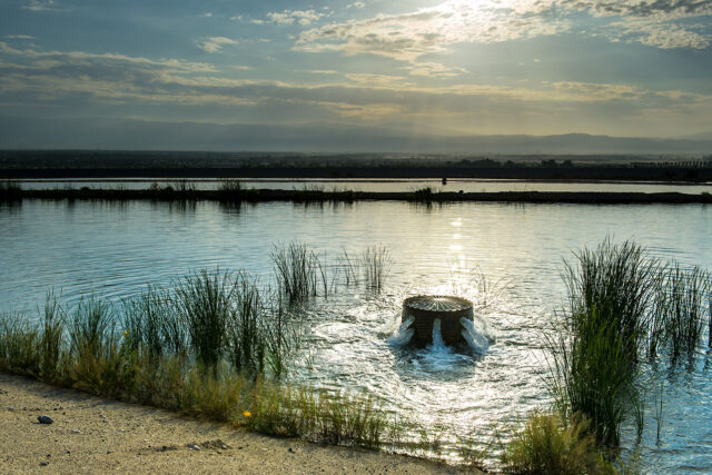 photo - Recharge Pond