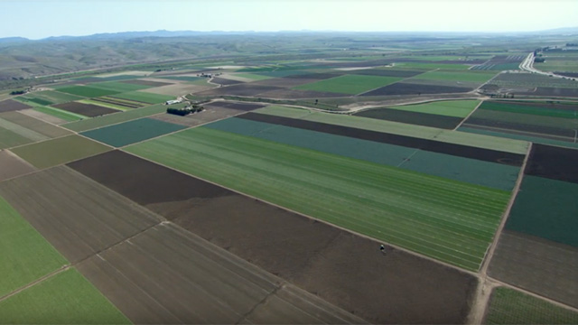 Photo of San Joaquin Valley farmland