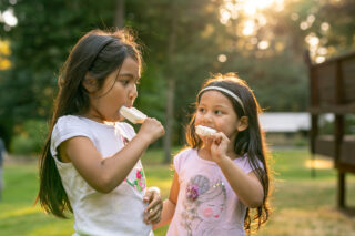 photo - Sisters Eating Popsicles in Backyard