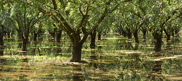 Photo of flooding