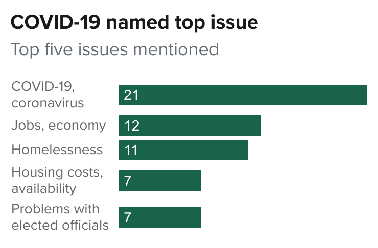 figure - COVID-19 named top issue